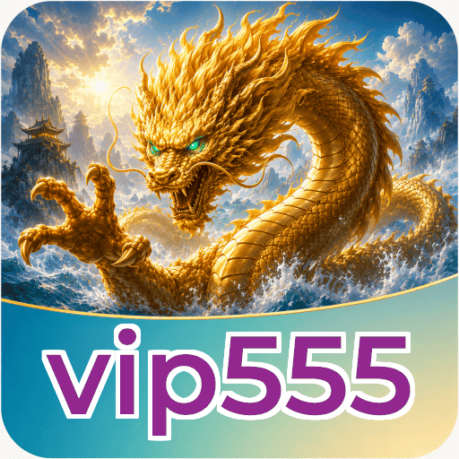 Audit profile vip555